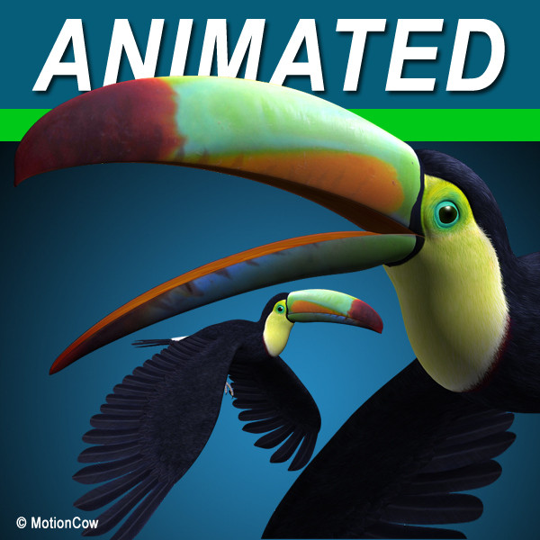 3d flying toucan - Toucan B ( Flying ) by MotionCow